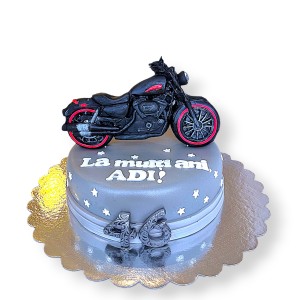 Tort Motocicleta